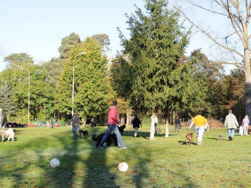 Gruppenarbeit