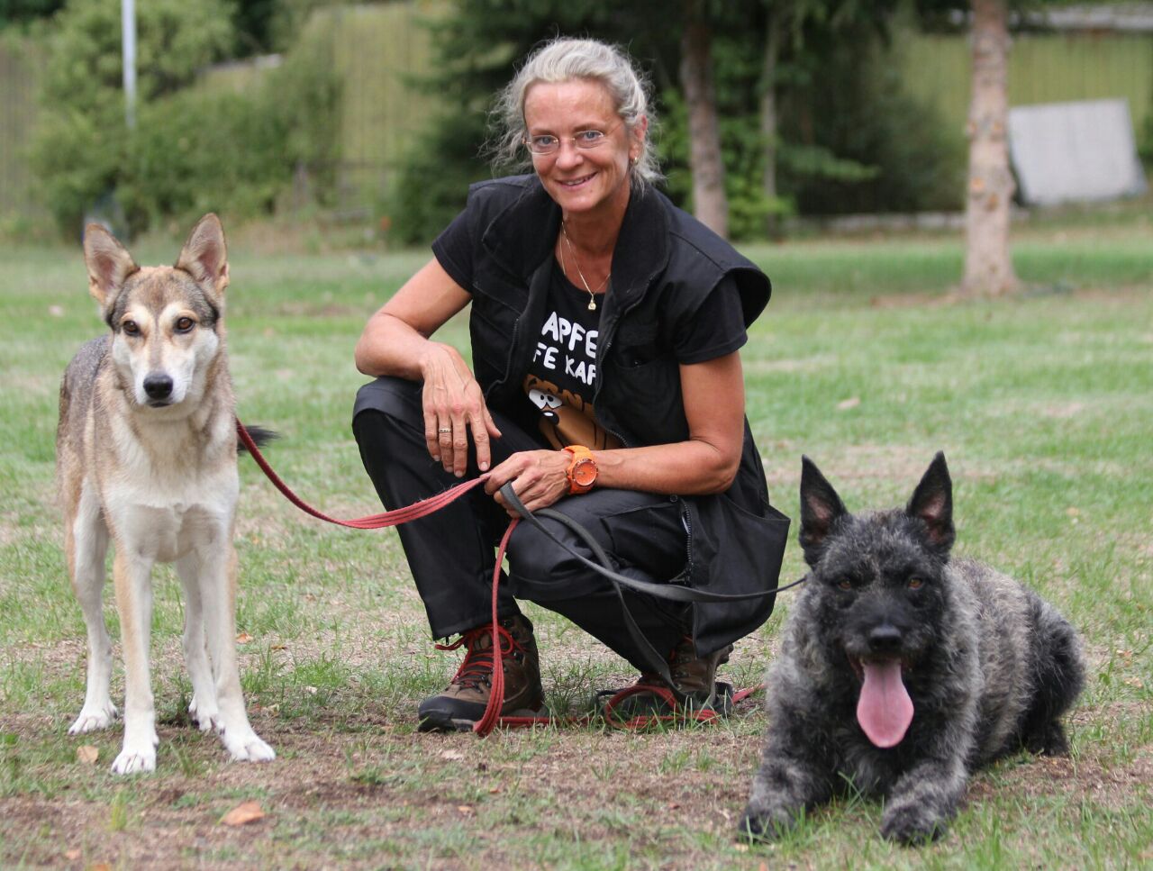 Andrea Meichsner mit Hunden
