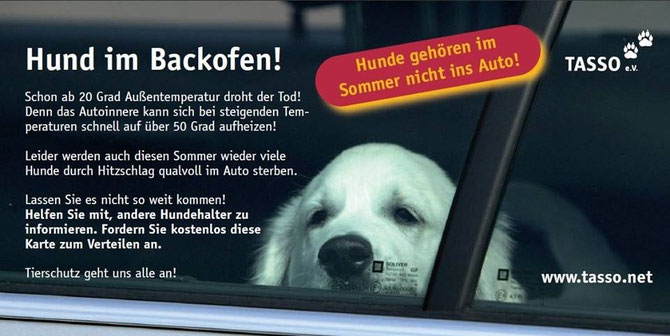 Hund im Backofen