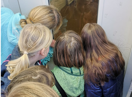 Jugendgruppe zu Besuch im Tierheim