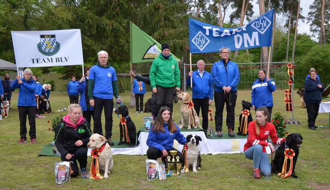 Deutsche Meisterschaft und Deutsche Jugendmeisterschaft im Rally Obedience