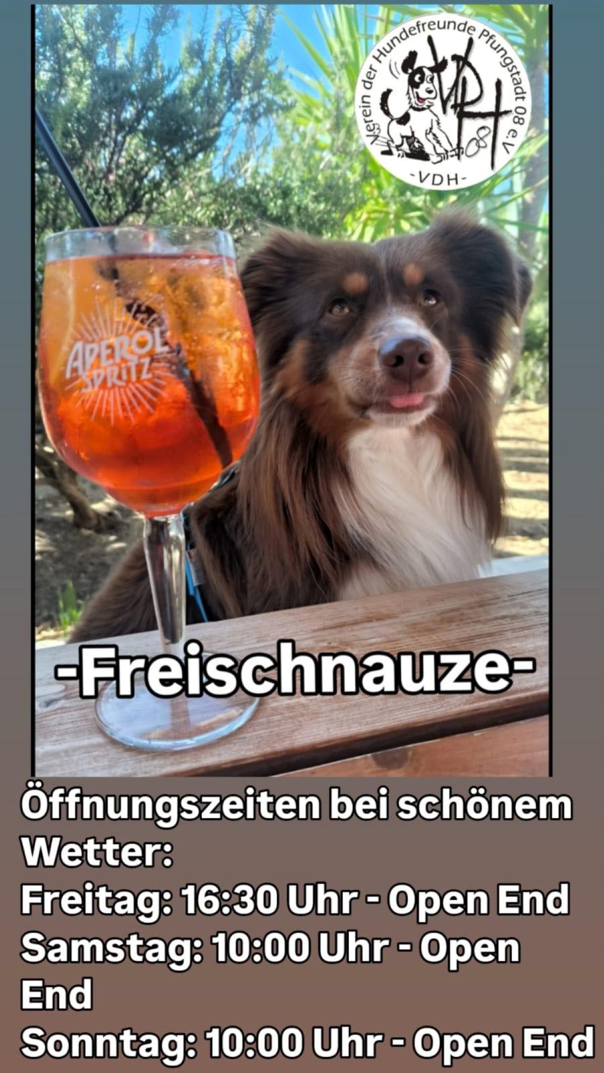 Biergarten "Freischnautze"